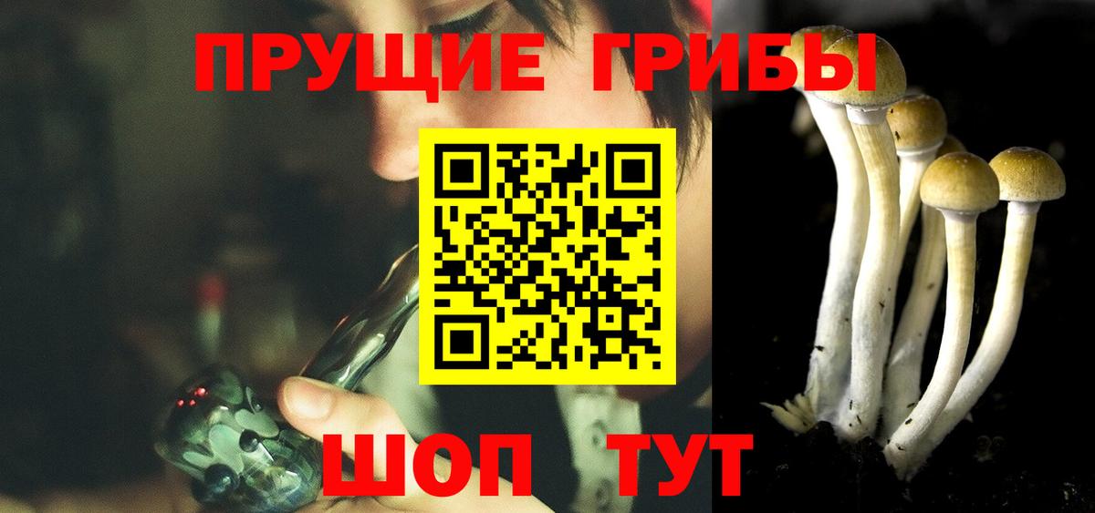 Псилоцибиновые грибы ЛСД  что такое   Краснодар  Галлюциногенные грибы Psilocybine cubensis  Вход с VPN 